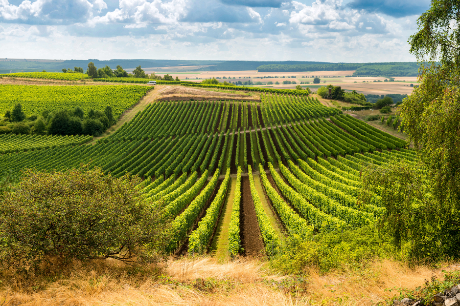 Ausblick auf der Hiwweltour Heideblick